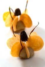 MMI-©-Mourad-Mokrani-Food-025